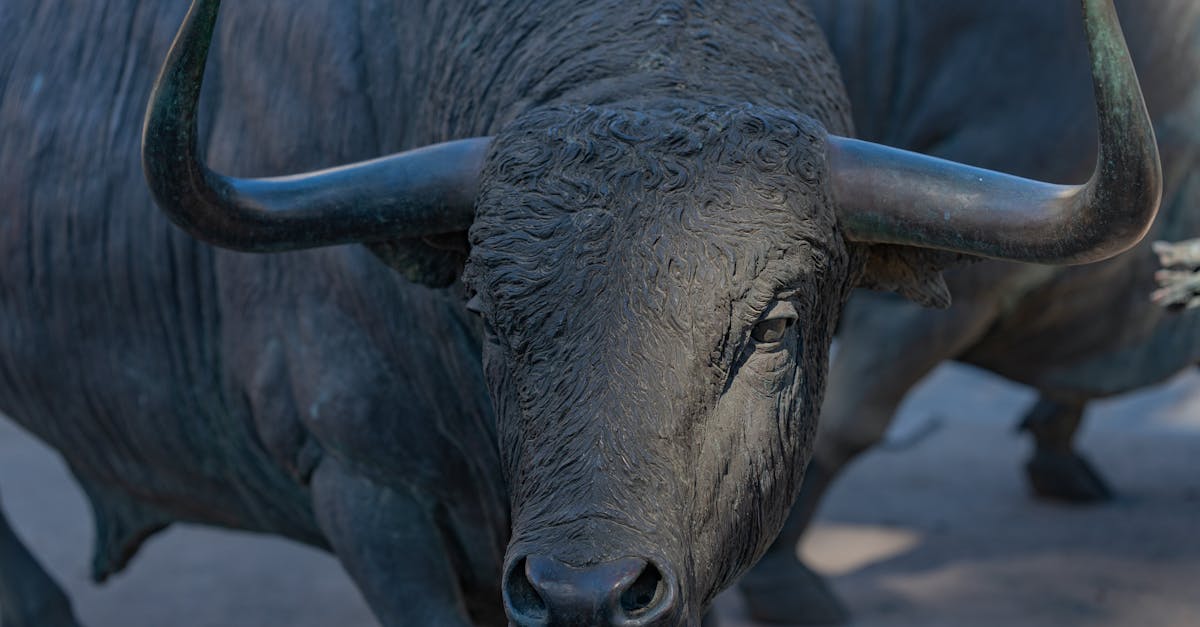 L'or et les métaux précieux : des valeurs refuges face à l'incertitude