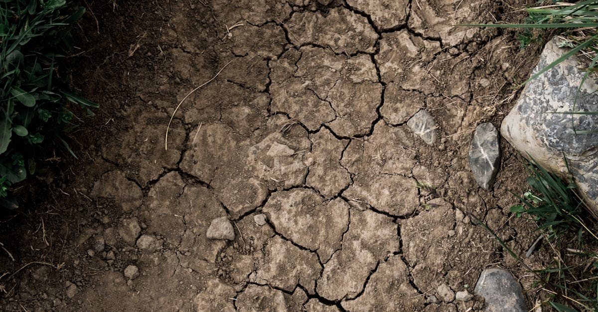 Analyse des Conditions Météorologiques et de leurs Impacts sur les Récoltes