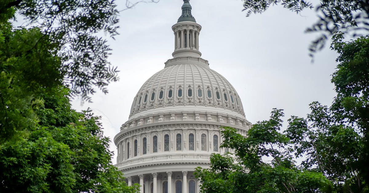 L'IA, un nouvel horizon pour le trading de métaux précieux ?