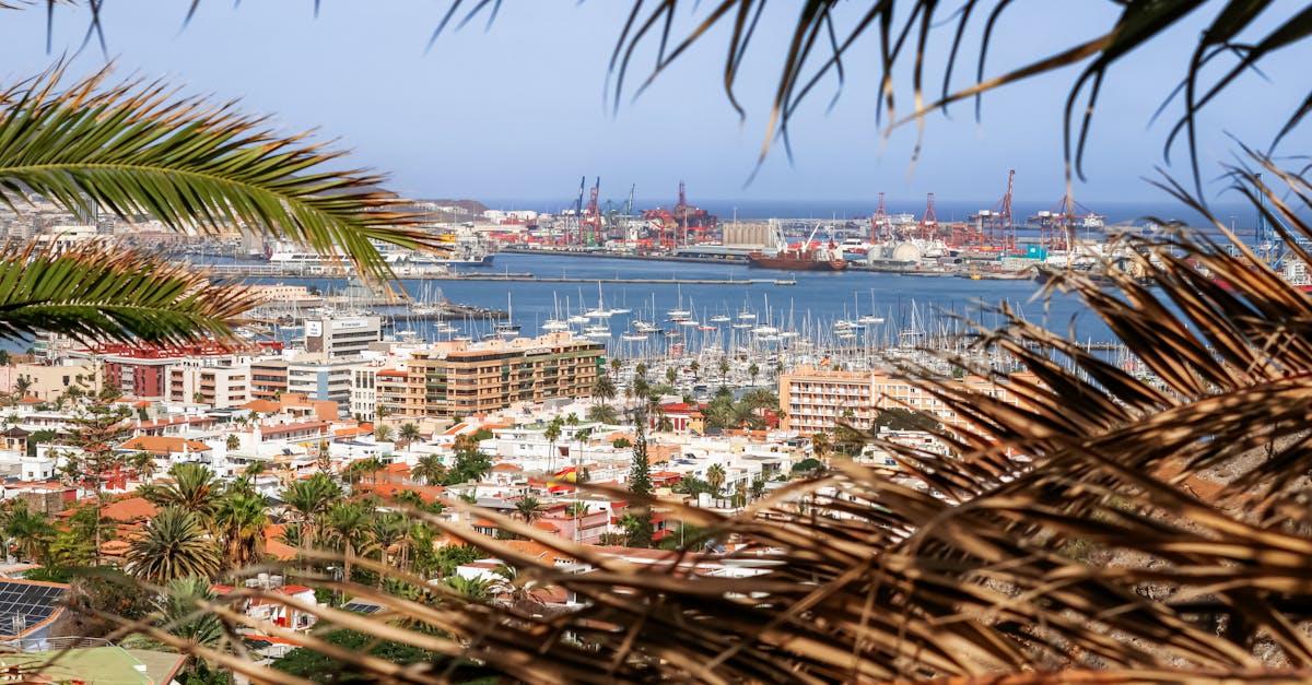 Crise Sanitaire en Mer : Ondes de Choc pour l'Or et l'Économie ?