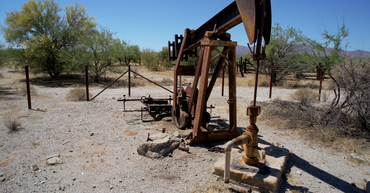 Les Motifs Profonds : Ambitions Nationales vs. Contraintes du Cartel