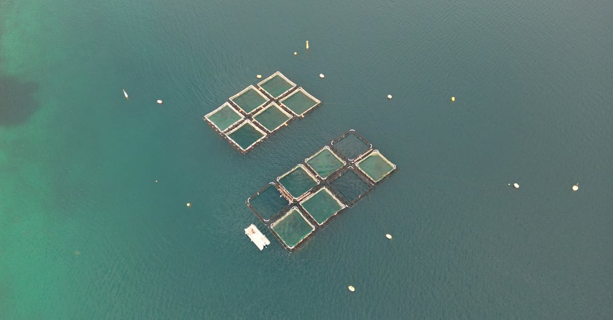 Investir dans l'Avenir : Au-delà des Portefeuilles Traditionnels