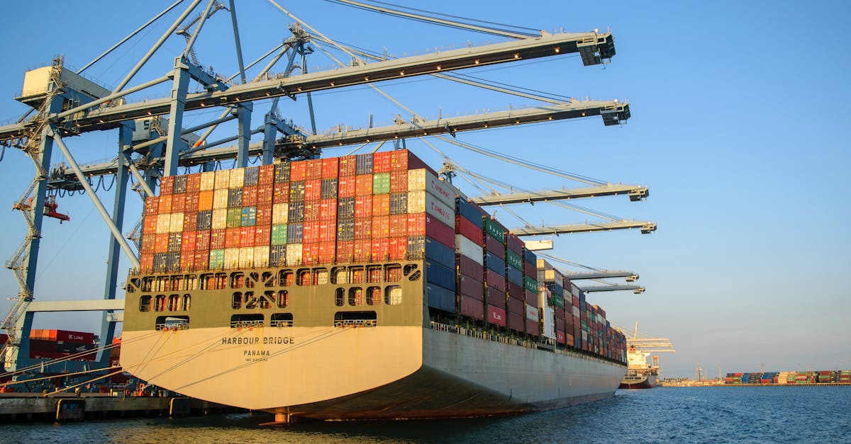 Les Conséquences Mondiales : Répercussions sur le Commerce et les Flux d'Investissement